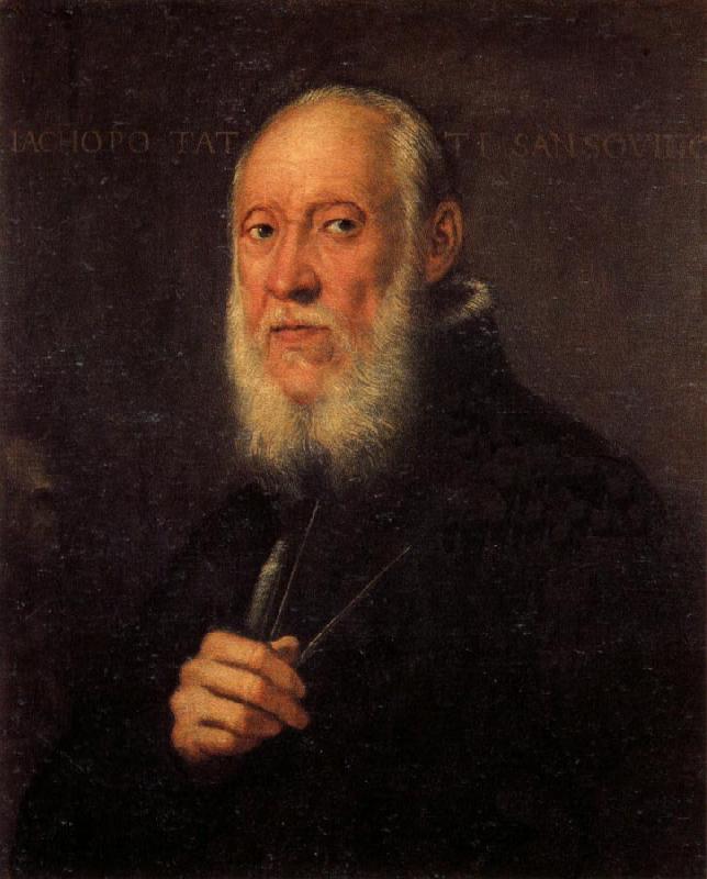 Jacopo Tintoretto Portrait of Jacopo Sansovino Germany oil painting art